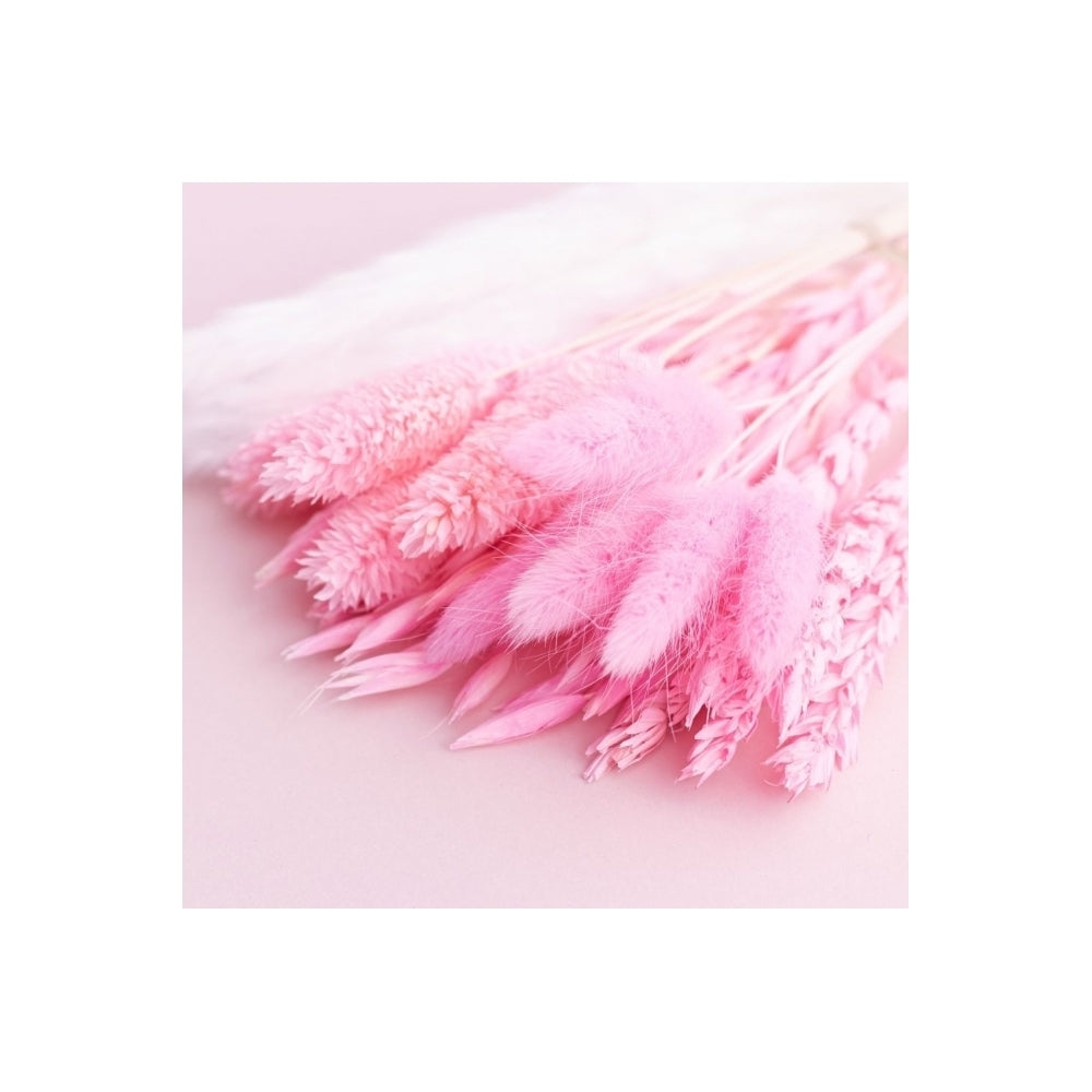 The Baked Studio Hot Pink Mixed Dried Flower Box