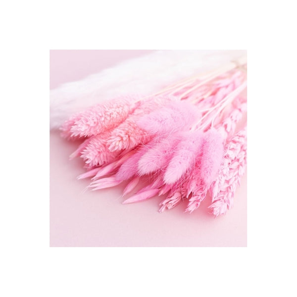The Baked Studio Hot Pink Mixed Dried Flower Box