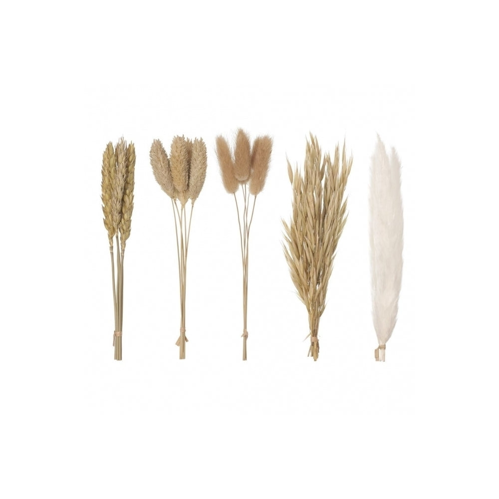 The Baked Studio Natural Mixed Dried Flower Box