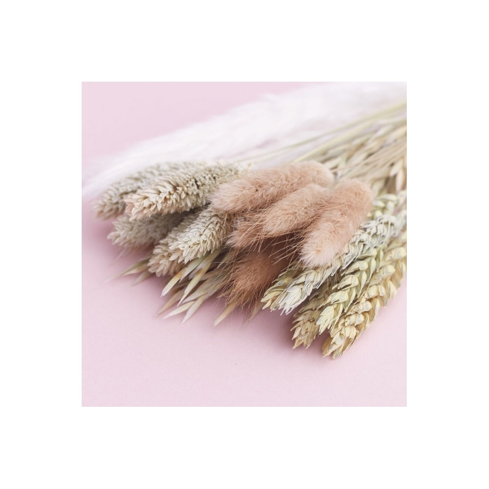 The Baked Studio Natural Mixed Dried Flower Box
