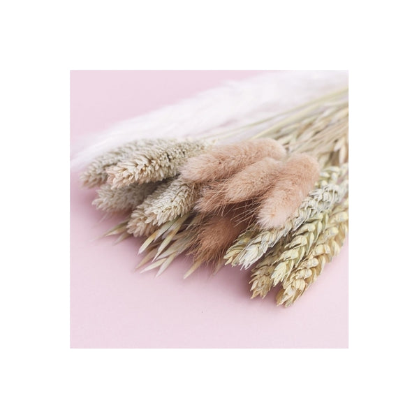 The Baked Studio Natural Mixed Dried Flower Box