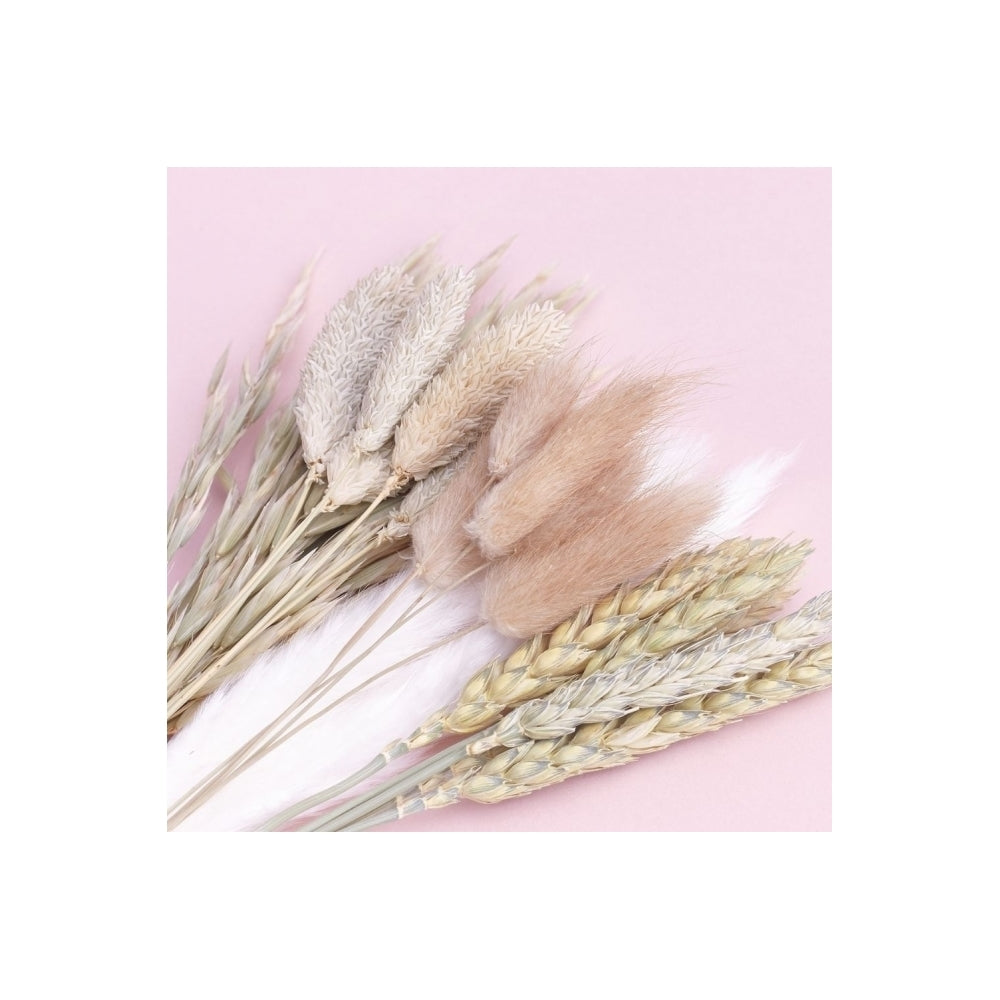 The Baked Studio Natural Mixed Dried Flower Box