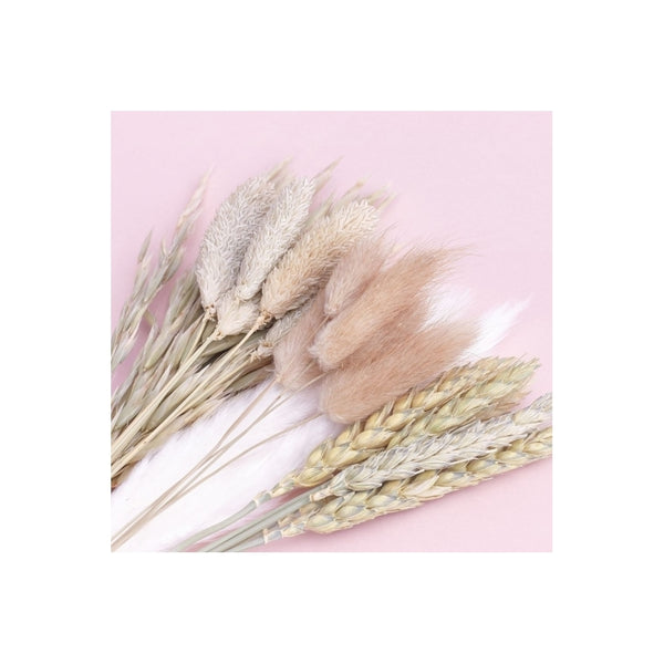 The Baked Studio Natural Mixed Dried Flower Box