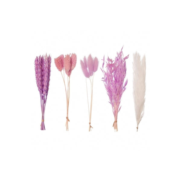 The Baked Studio Purple Mixed Dried Flower Box