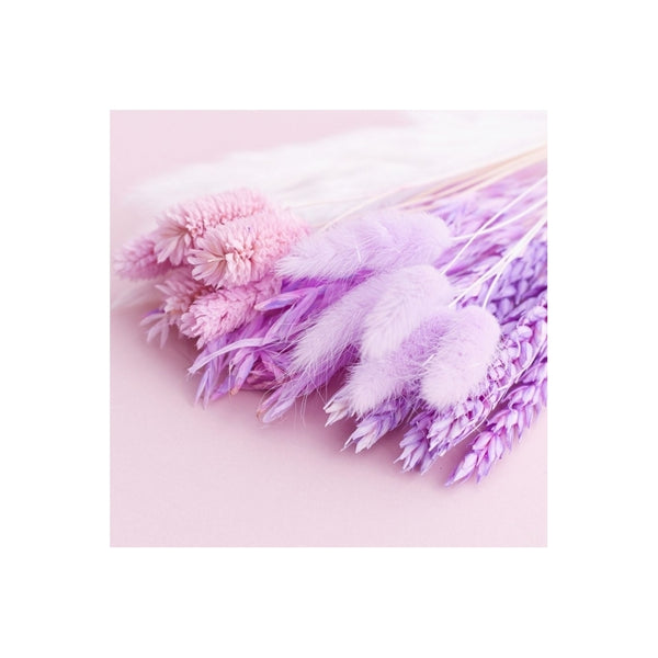 The Baked Studio Purple Mixed Dried Flower Box