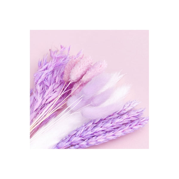 The Baked Studio Purple Mixed Dried Flower Box