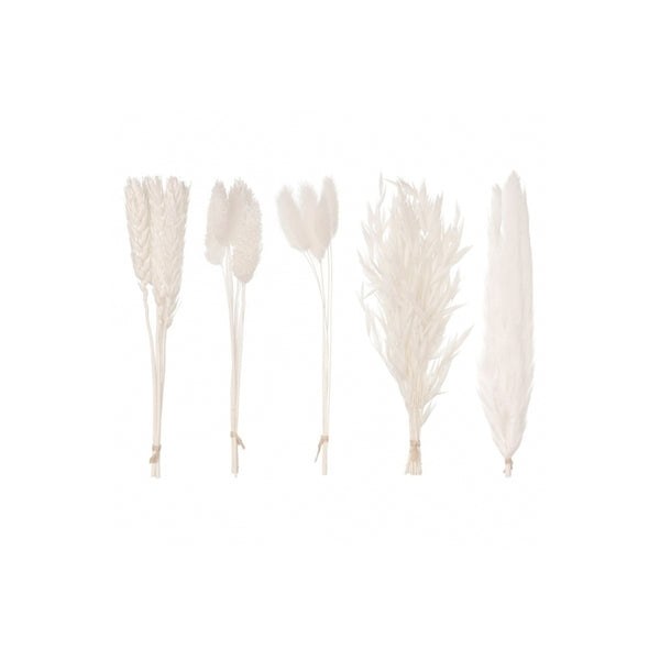 The Baked Studio White Mixed Dried Flower Box