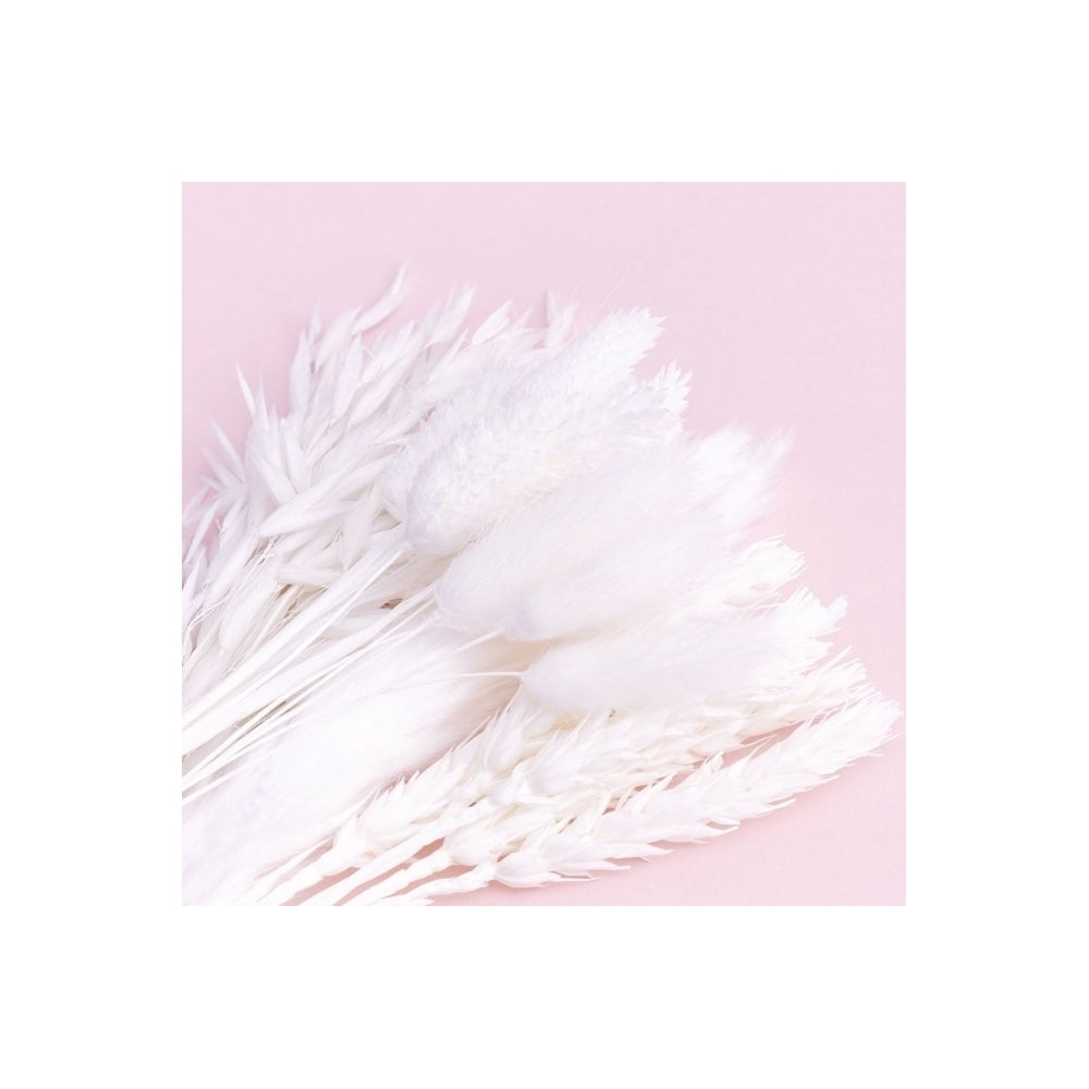 The Baked Studio White Mixed Dried Flower Box