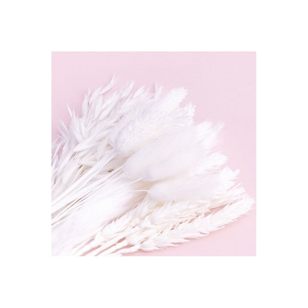 The Baked Studio White Mixed Dried Flower Box