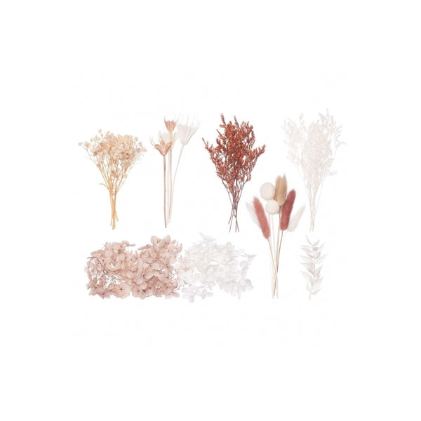 The Baked Studio Natural, Latte, Nude & White Deluxe Mixed Dried Flower Box