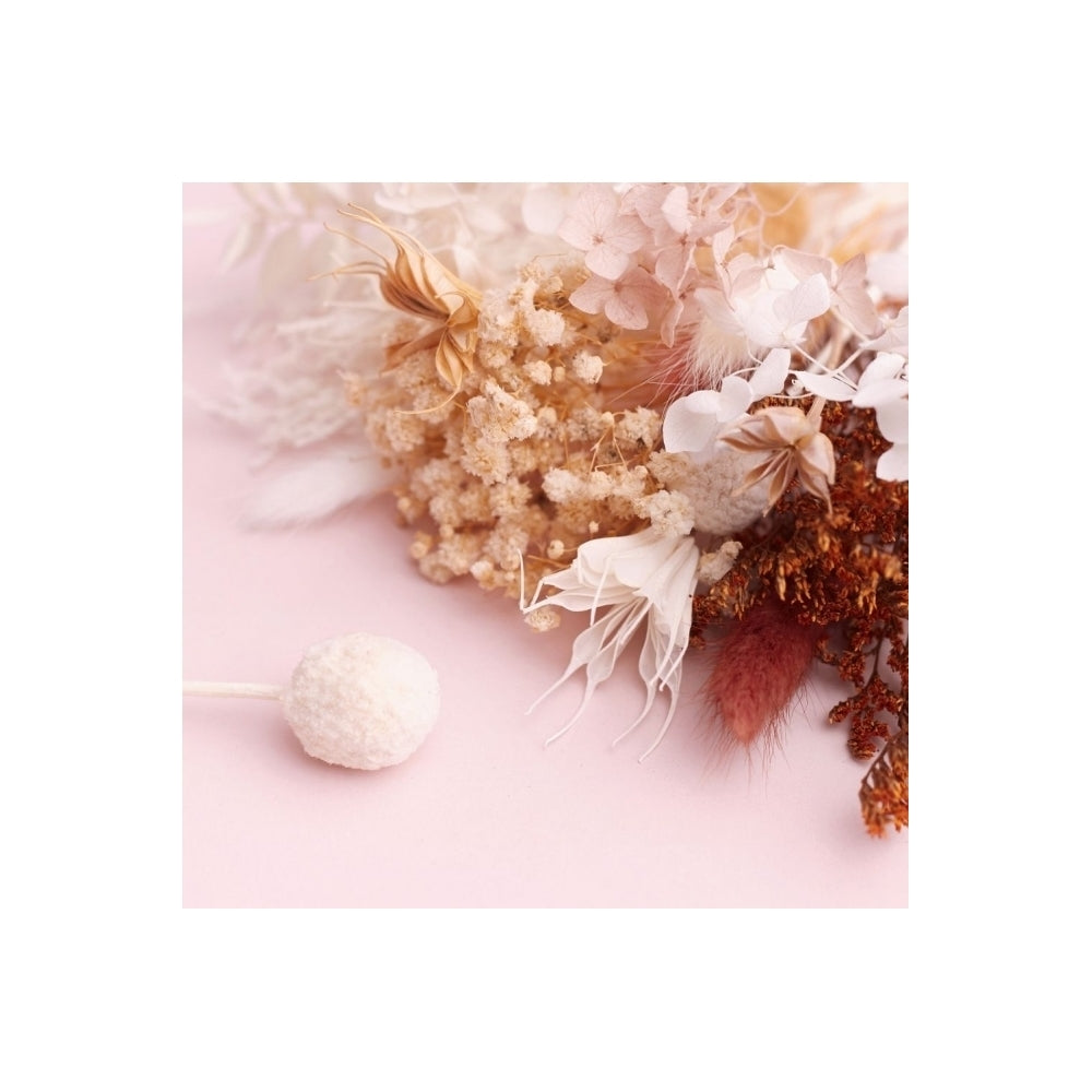 The Baked Studio Natural, Latte, Nude & White Deluxe Mixed Dried Flower Box