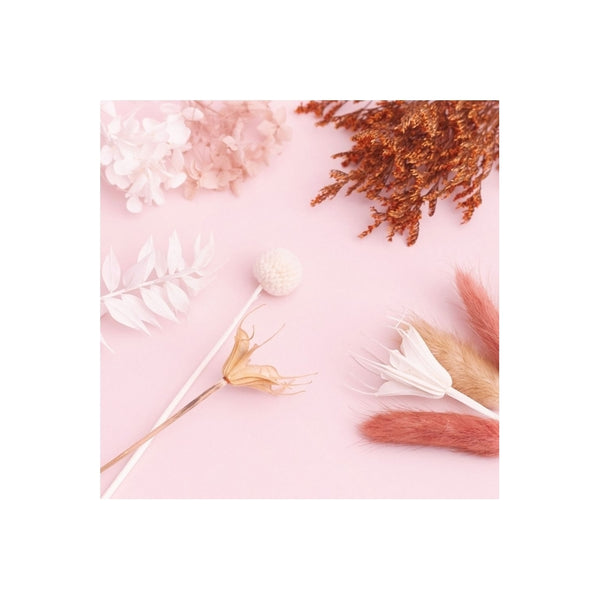 The Baked Studio Natural, Latte, Nude & White Deluxe Mixed Dried Flower Box