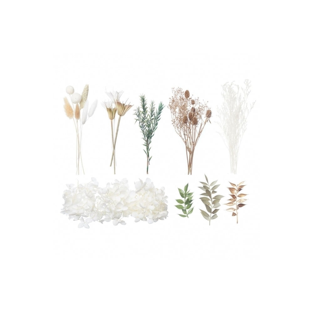 The Baked Studio Sage, Gold & White Deluxe Mixed Dried Flower Box