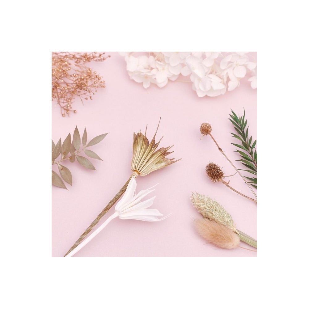 The Baked Studio Sage, Gold & White Deluxe Mixed Dried Flower Box