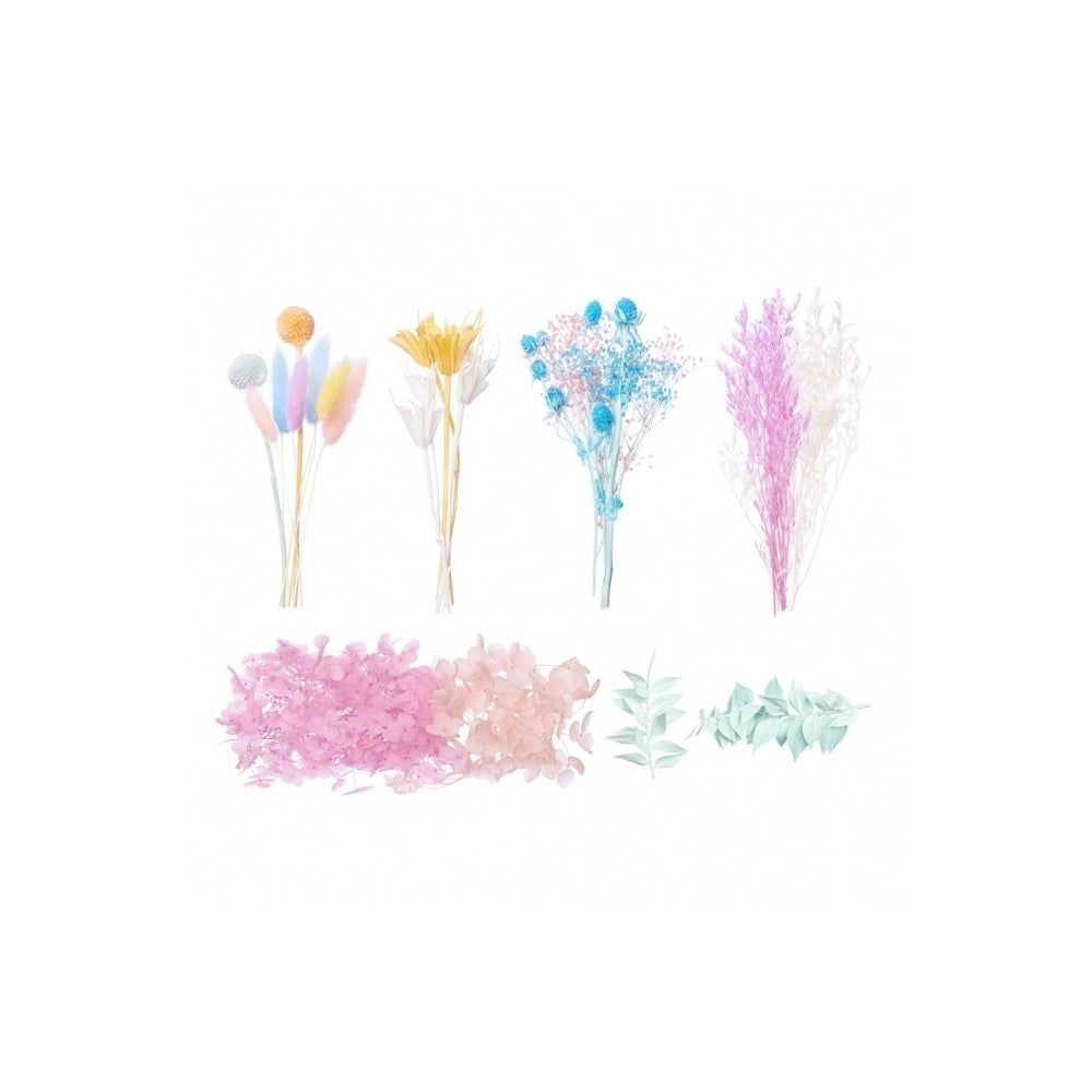 The Baked Studio Rainbow Pastels Deluxe Mixed Dried Flower Box