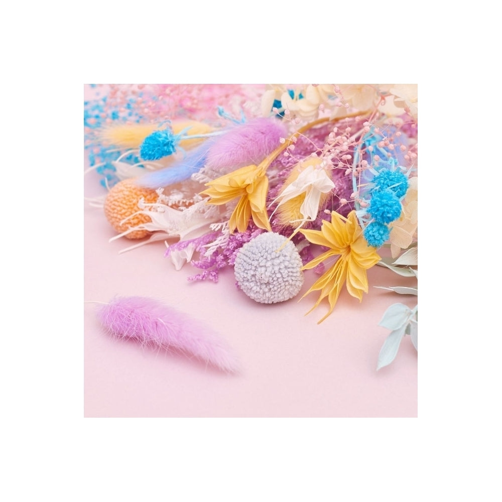 The Baked Studio Rainbow Pastels Deluxe Mixed Dried Flower Box