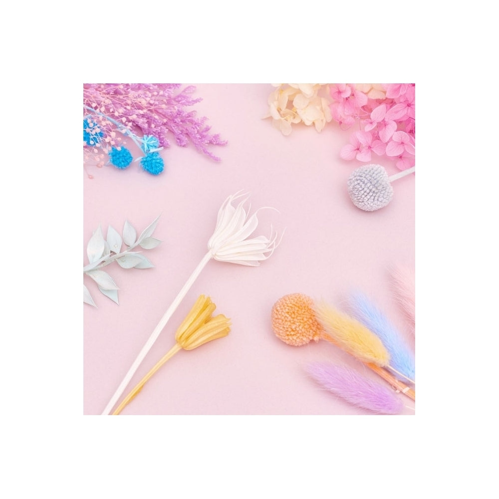 The Baked Studio Rainbow Pastels Deluxe Mixed Dried Flower Box