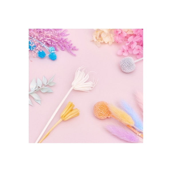 The Baked Studio Rainbow Pastels Deluxe Mixed Dried Flower Box