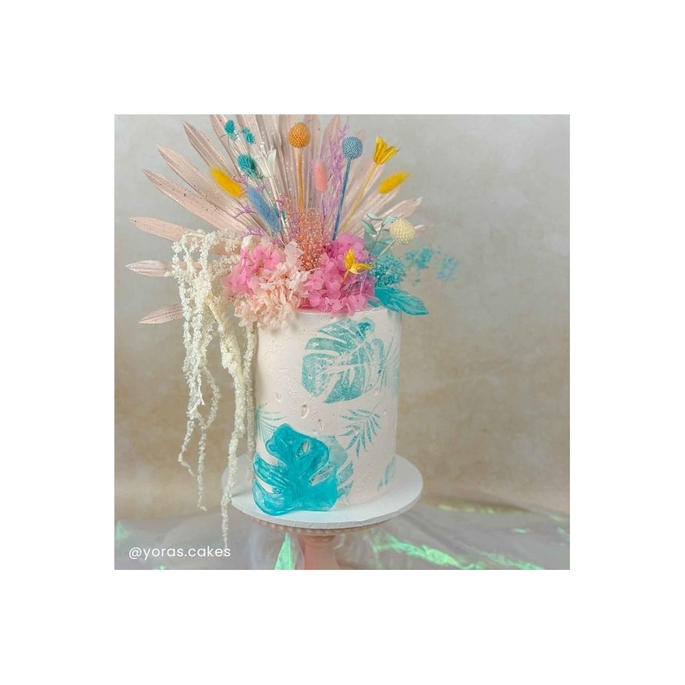 The Baked Studio Rainbow Pastels Deluxe Mixed Dried Flower Box