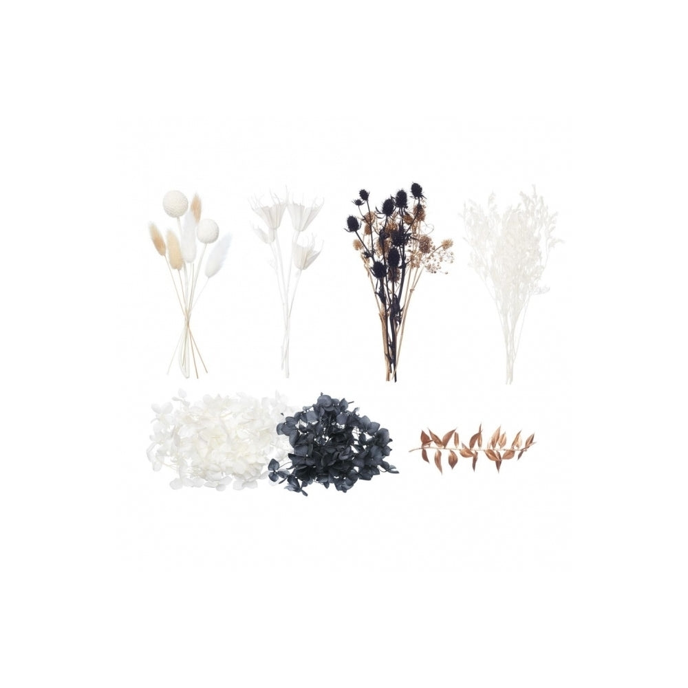 The Baked Studio Black, White & Gold Deluxe Mixed Dried Flower Box