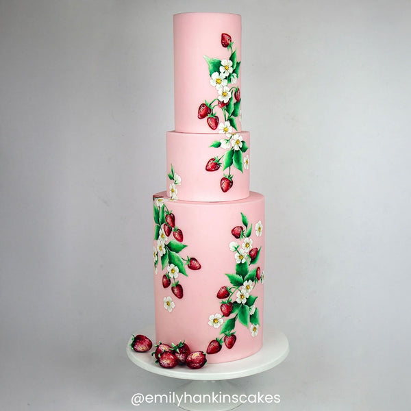 THE SUGAR PASTE Baby Pink Sugarpaste