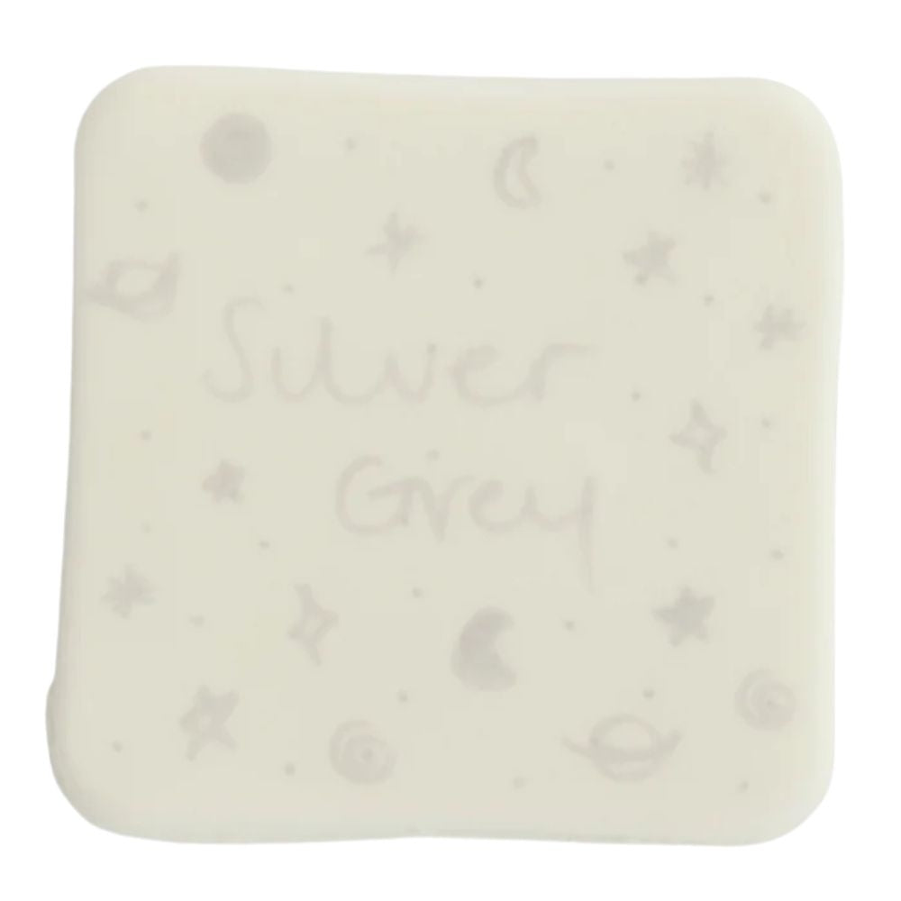 Rainbow Dust Silver Grey - Double Ended Cake Art Pen 5g