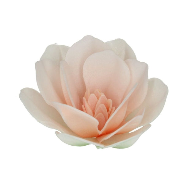 FunCakes White Large Magnolia Deluxe Wafer Flowers Pack Of 6