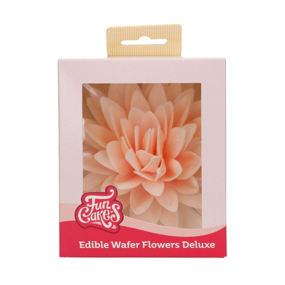 FunCakes Orange Ombre Large Peony Deluxe Wafer Flower