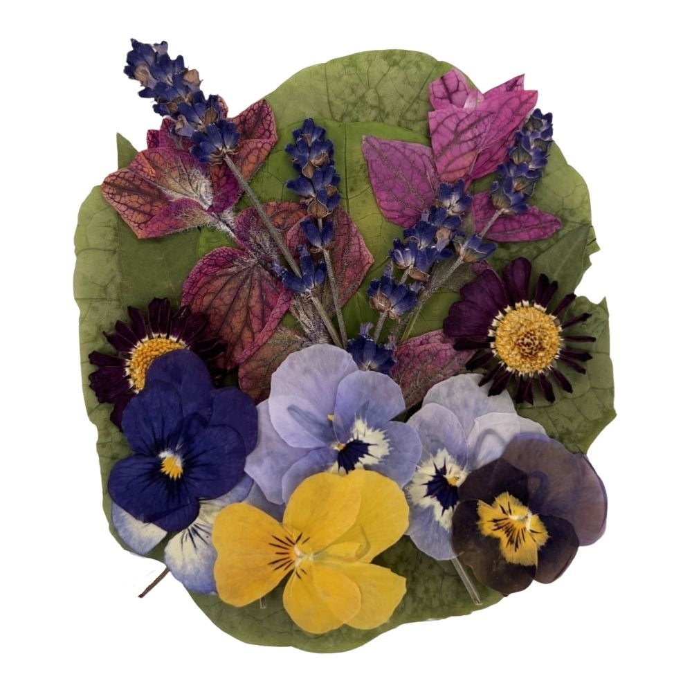 Nurtured In Norfolk Mixed Flowers And Leaves - Pressed Edible Flowers