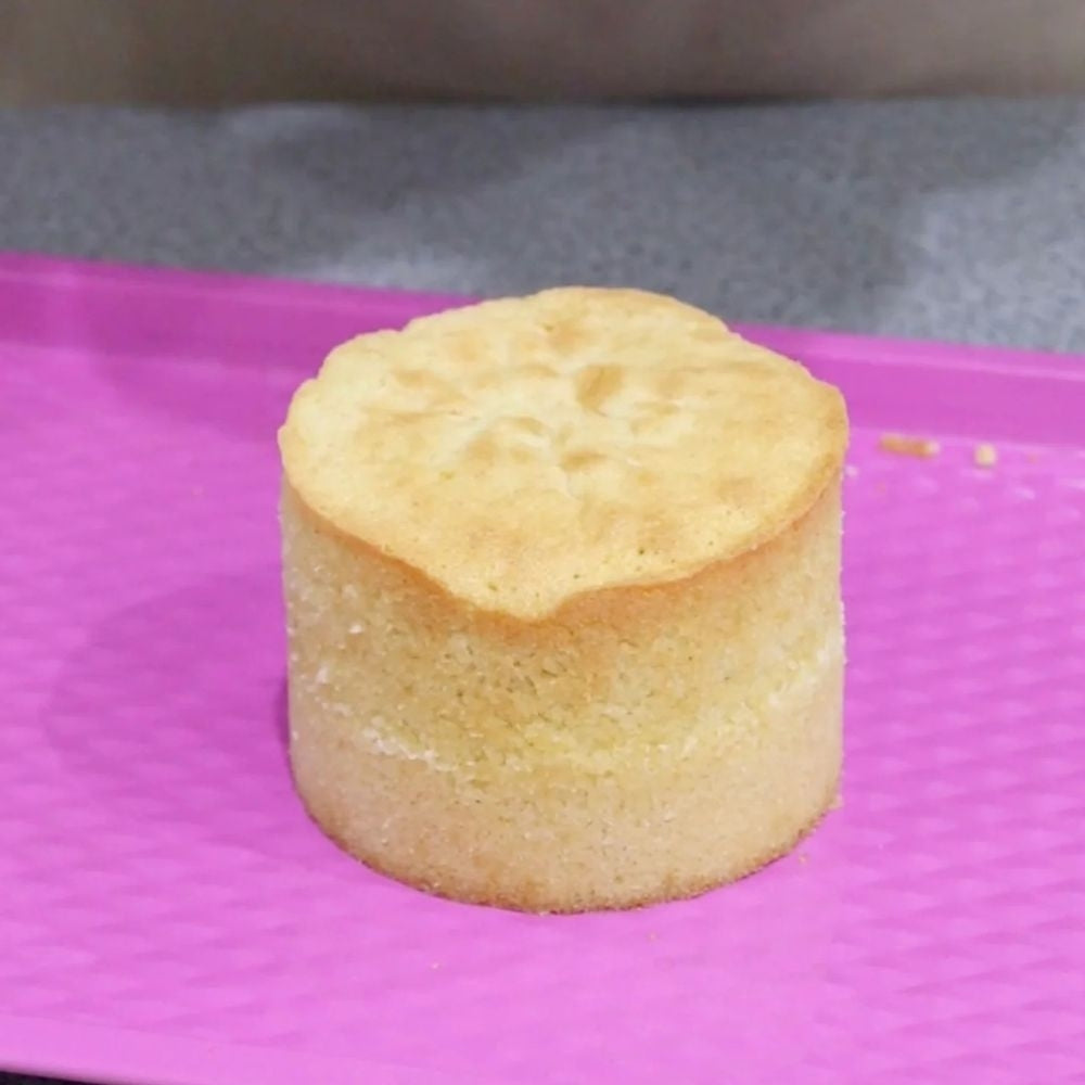 Frost Form™️ Round Bento Cake Kit