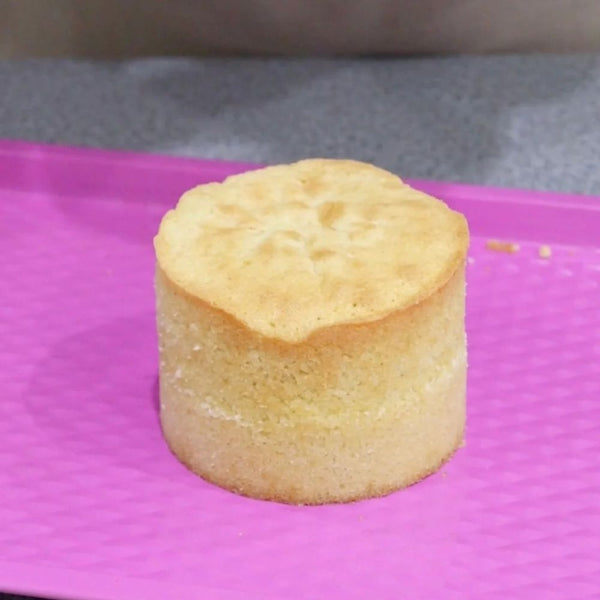 Frost Form™️ Round Bento Cake Kit