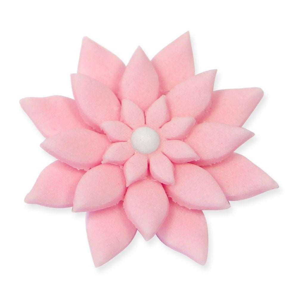 PME Daisy Marguerite Floral Plunger Cutter Set Of 4