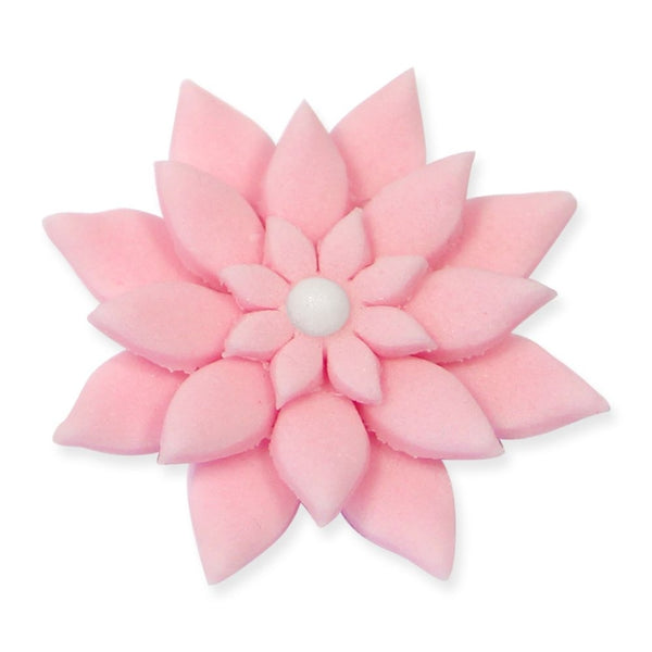 PME Daisy Marguerite Floral Plunger Cutter Set Of 4
