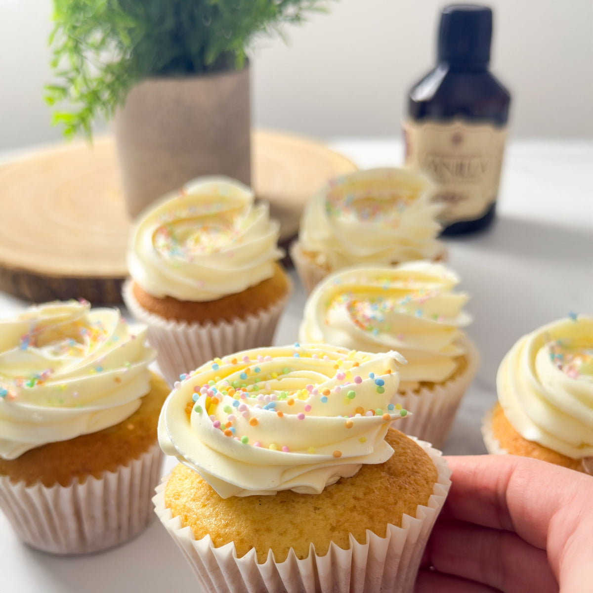 Vanilla Scientific Bourbon Gourmet Vanilla Extract With Seeds