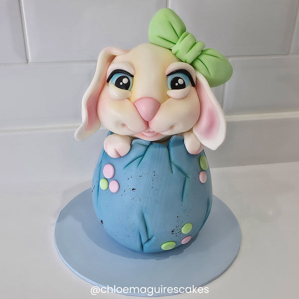 THE SUGAR PASTE Spring Pastels Sugarpaste Bundle