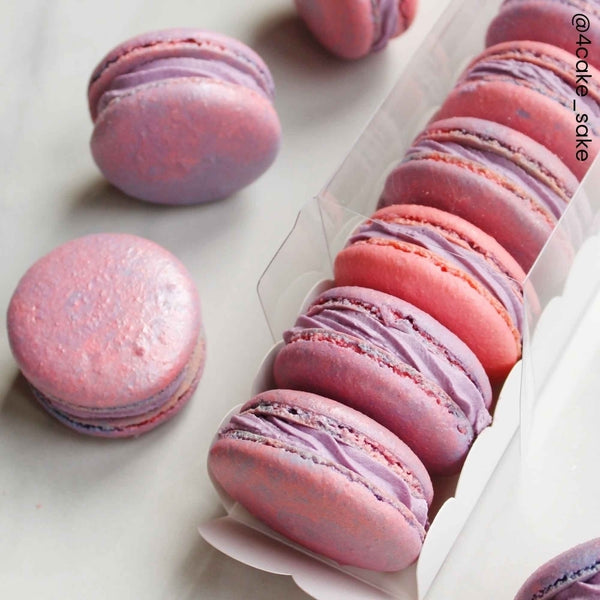 Simply Making White Macaron Box With Scallop Insert