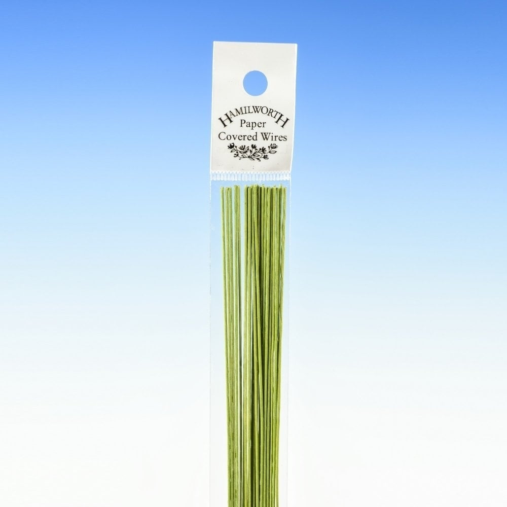 Hamilworth 18 gauge NILE GREEN sugarcraft floristry wire - pk 25