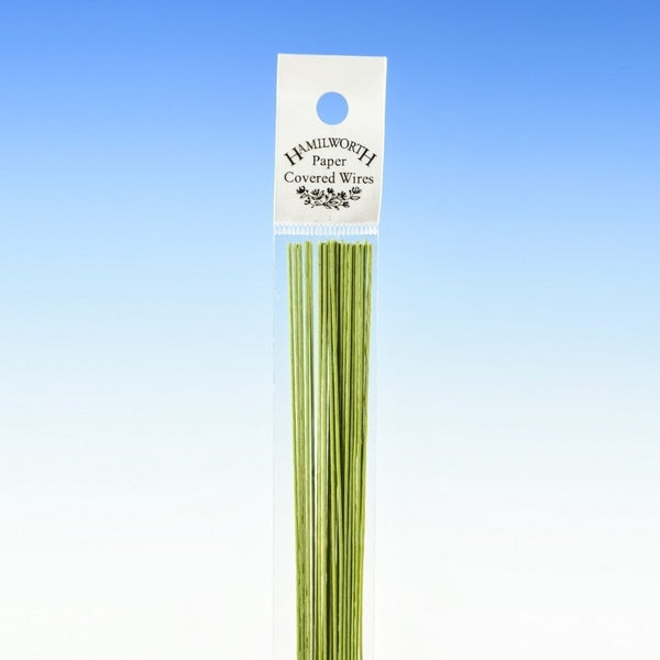 Hamilworth 18 gauge NILE GREEN sugarcraft floristry wire - pk 25