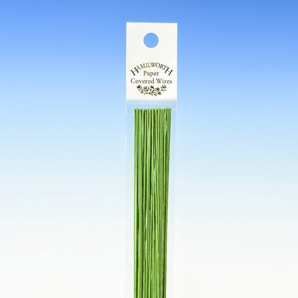 Hamilworth 22 gauge NILE GREEN sugarcraft floristry wire - pk 20