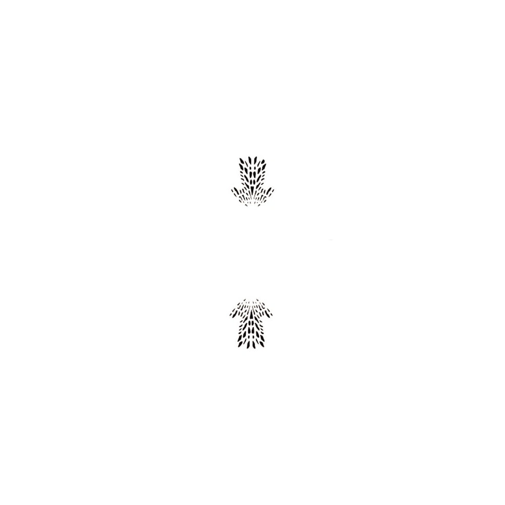 PME Azalea petal 2 piece design icing stencil set