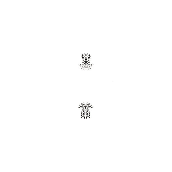 PME Azalea petal 2 piece design icing stencil set
