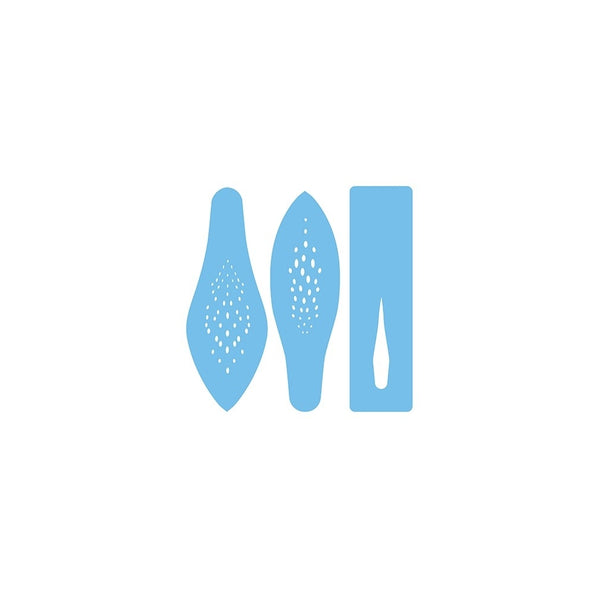 PME Lily Petal 3 pc design icing stencil set