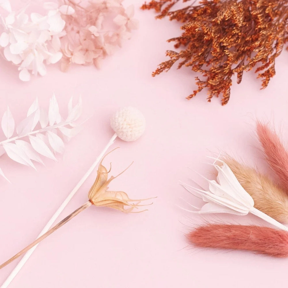 The Baked Studio Natural, Latte, Nude & White Deluxe Mixed Dried Flower Box