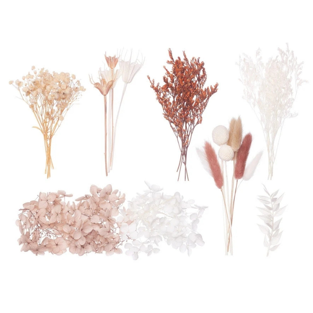 The Baked Studio Natural, Latte, Nude & White Deluxe Mixed Dried Flower Box