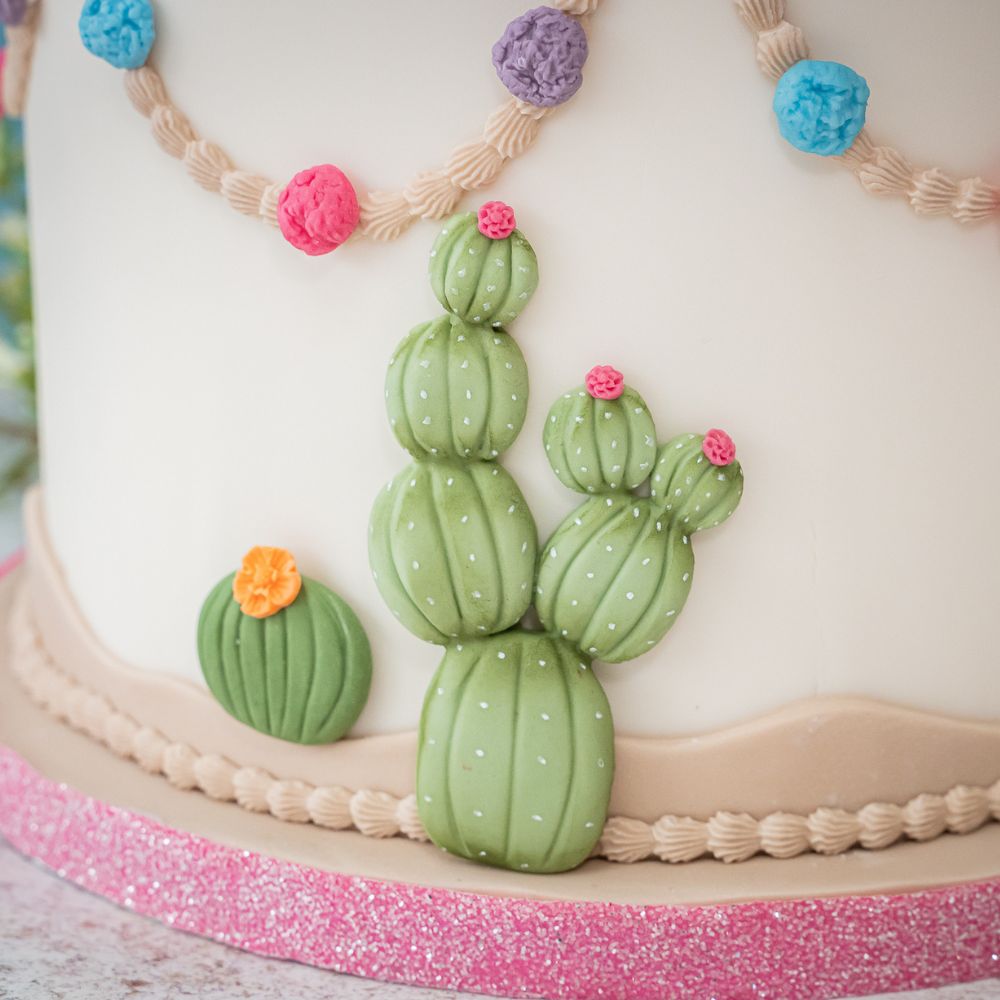 Karen Davies Cactus Silicone Mould