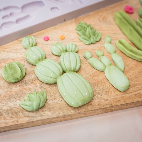 Karen Davies Cactus Silicone Mould