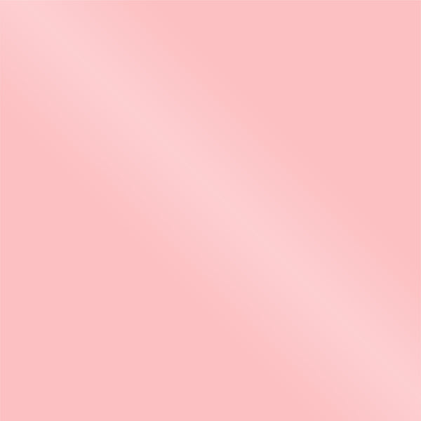 Choctastique Baby Pink Ganache Plate - Set of 2