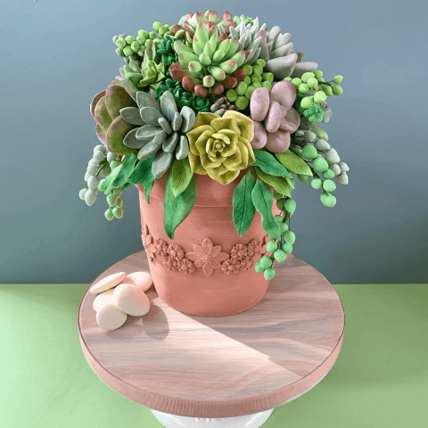 Edible Succulent Pot Cake