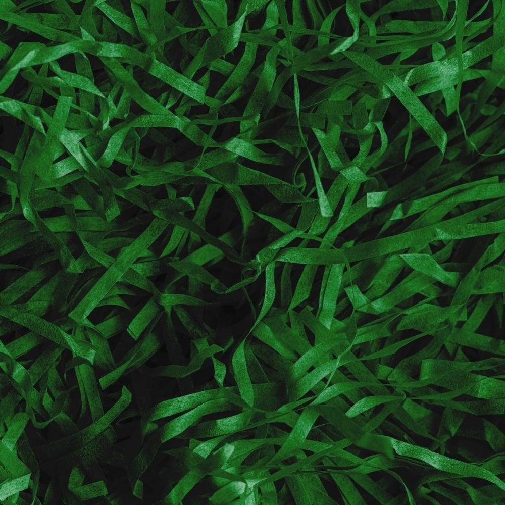 Simply Making Dark Green - Shredded Gift Box Paper 30g