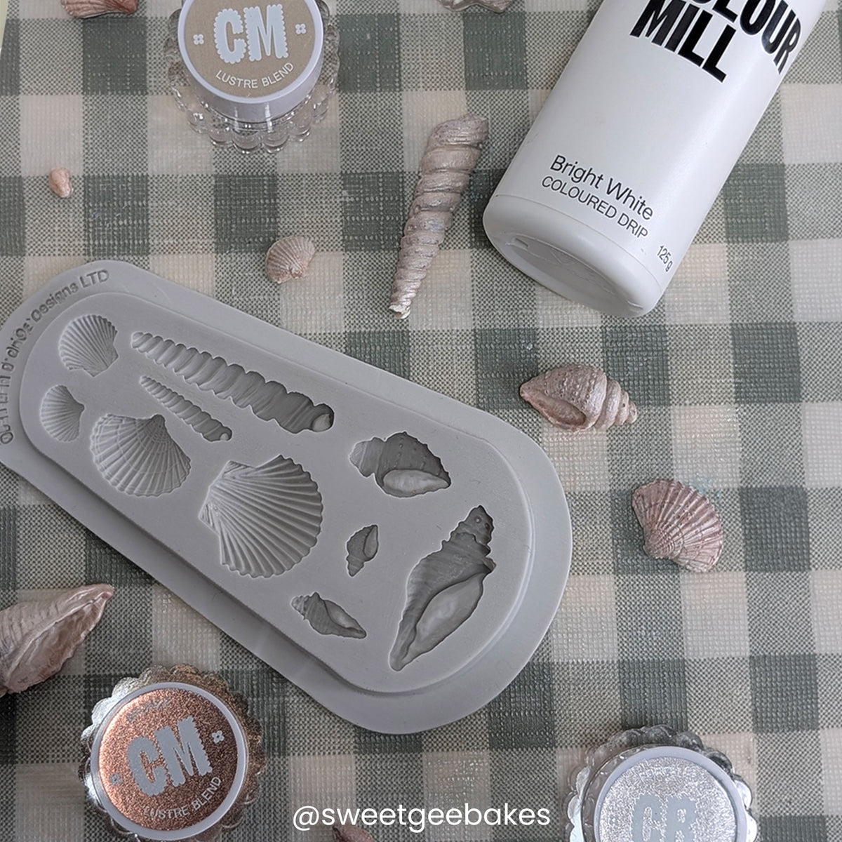 Katy Sue Designs Seashells Silicone Mould - Katy Sue Designs